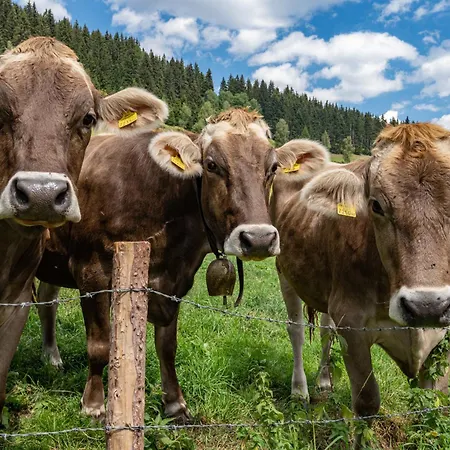 Hotel Lorettohof Garni Gaal