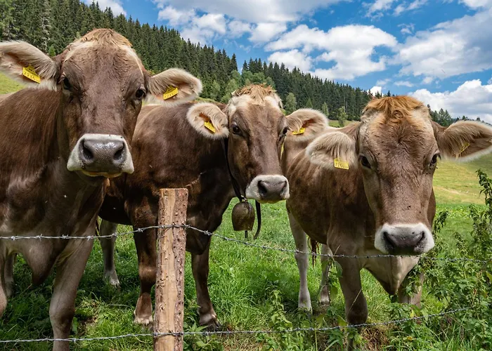 酒店 Lorettohof Garni Gaal